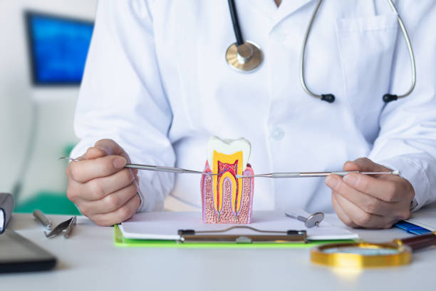 Best Walk-In Emergency Dental Services in White Hall, AR